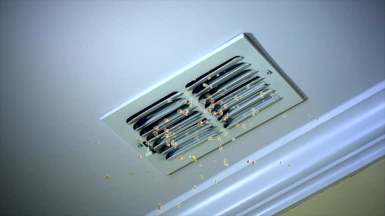 Ventilation Cleaning Services in Leisure World, MD